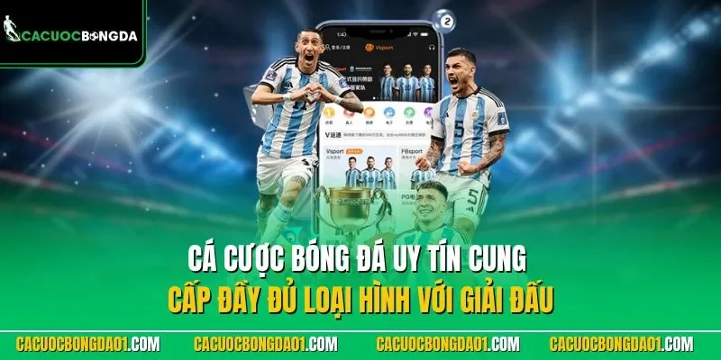 Cá cược bóng đá uy tín cung cấp đầy đủ loại hình với giải đấu