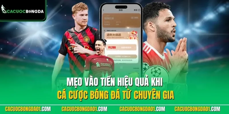 Mẹo vào tiền hiệu quả khi cá độ bóng đá từ chuyên gia