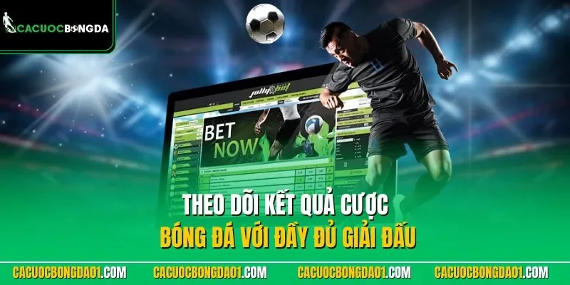 Theo dõi kết quả bóng đá với đầy đủ giải đấu